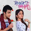 woh rehne waali mehlon ki rani and rishabh